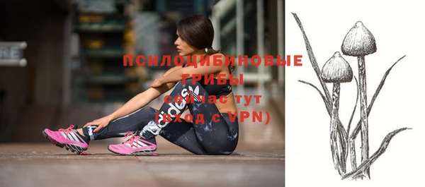 МДПВ Кукмор