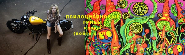 тгк Краснослободск